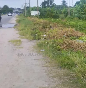 Massive Commercial/Residential Land for Sale Warri Delta