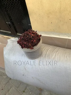 Whole Hibiscus Flower