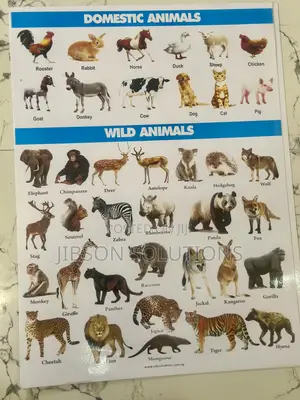 Laminated Instructional Charts