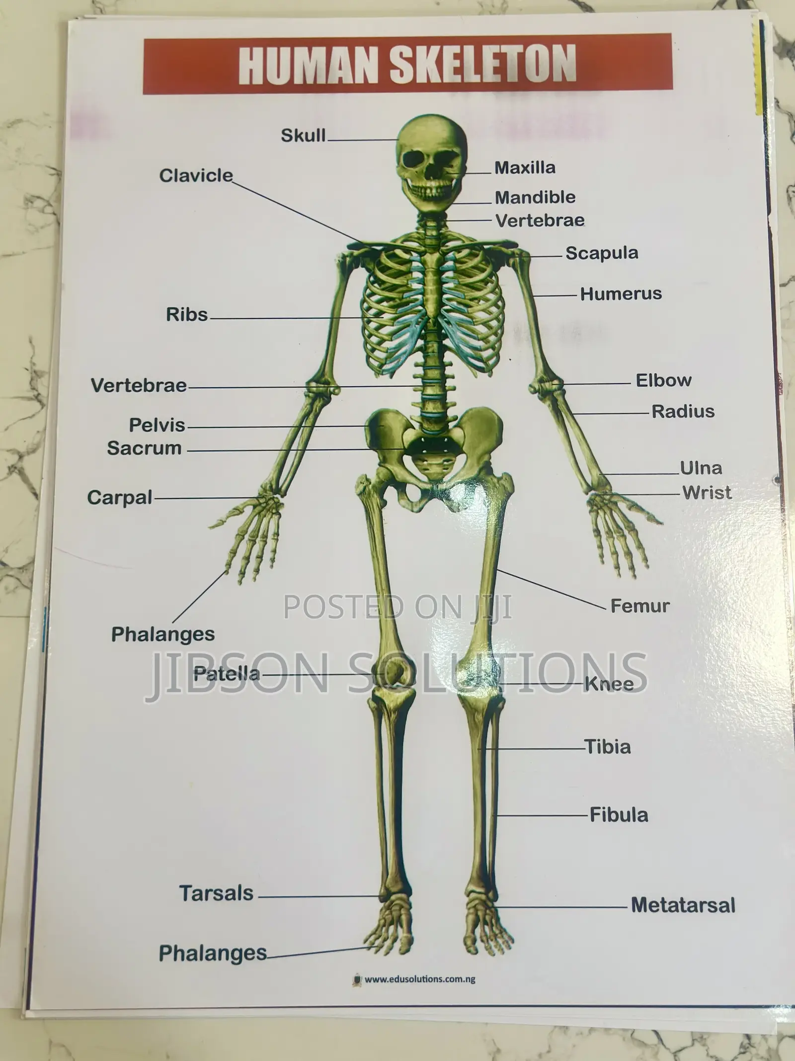 Classroom Chart