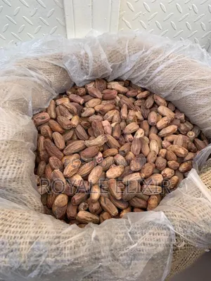 Premium Date Seeds (Dabino)/Paint