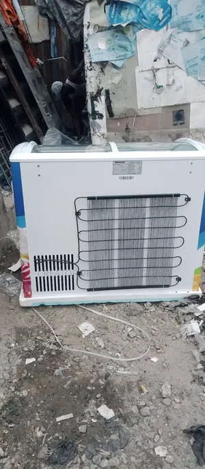 Show Case Restpoint Deep Freezer Low Voltage Fully Copper .