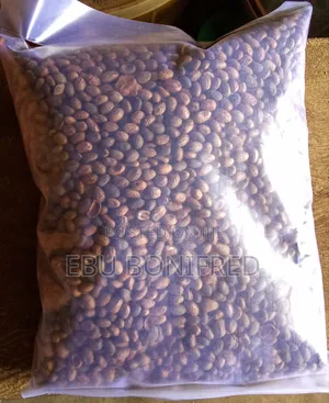 1 Kg of Miracle Seeds