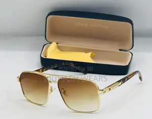 Louis Vuitton Luxury Glasses