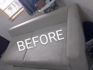 Upholstery Cleaning