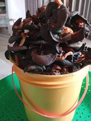 Neatly Selected and Dried Snail
