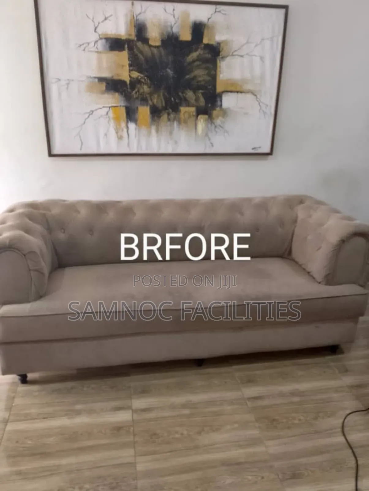 SOFA and COUCH Laundry