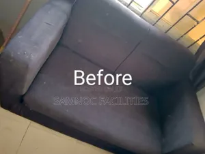 Premium Cleaning of Upholstery Seaters