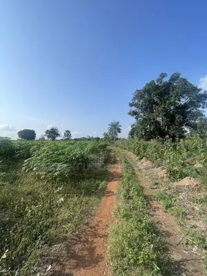 2,000 Acres of Land for Sale at Komu,Itesiwaju Lga Oyo State
