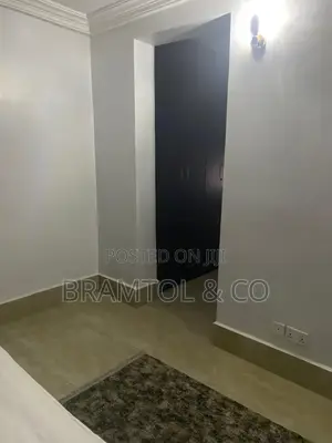 Furnished 2bdrm Block of Flats in Asokoro for rent