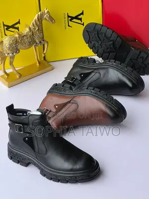 Louis Vuitton Shoe