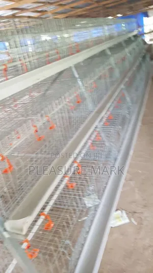 Broiler Cage
