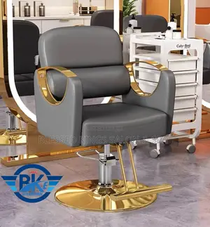 Gray Colour Styling / Barbing Chair