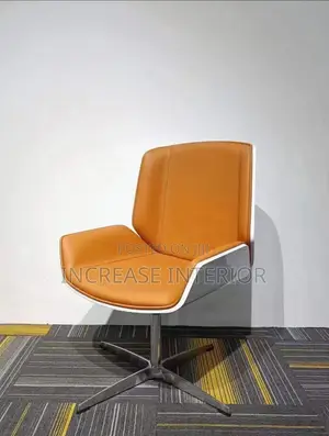 Executive Quality Imported Office Director Chair