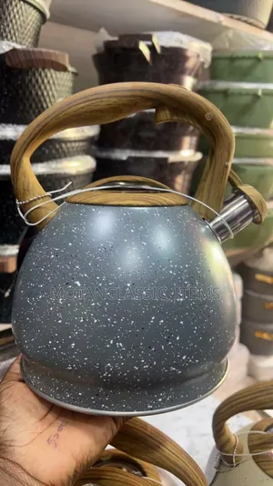 Quality Stainless Steel Whistling Kettle (3ltrs)