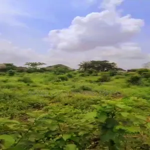 Photo - Attractive Land for Sale