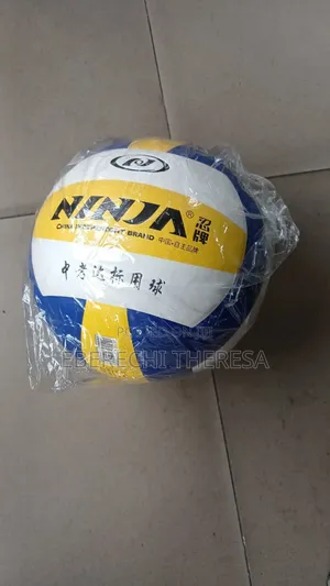 Ninja Official Size Volleyball