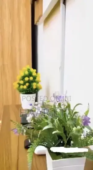 Weekly Shared Apartment Per Week With 24/Hr Light