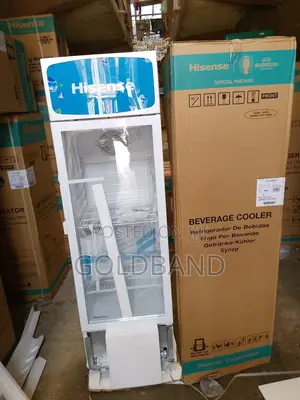 Best Selling Hisense 222L "Fl30fc" Beverage Cooler