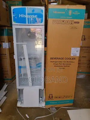 Best Effective "Fl30fc" 222L Hisense Beverage Chiller