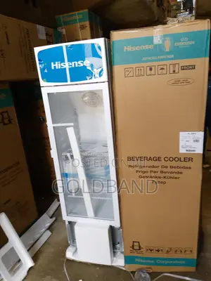 Powerful 222L Hisense Beverage Chiller "Fl30fc"