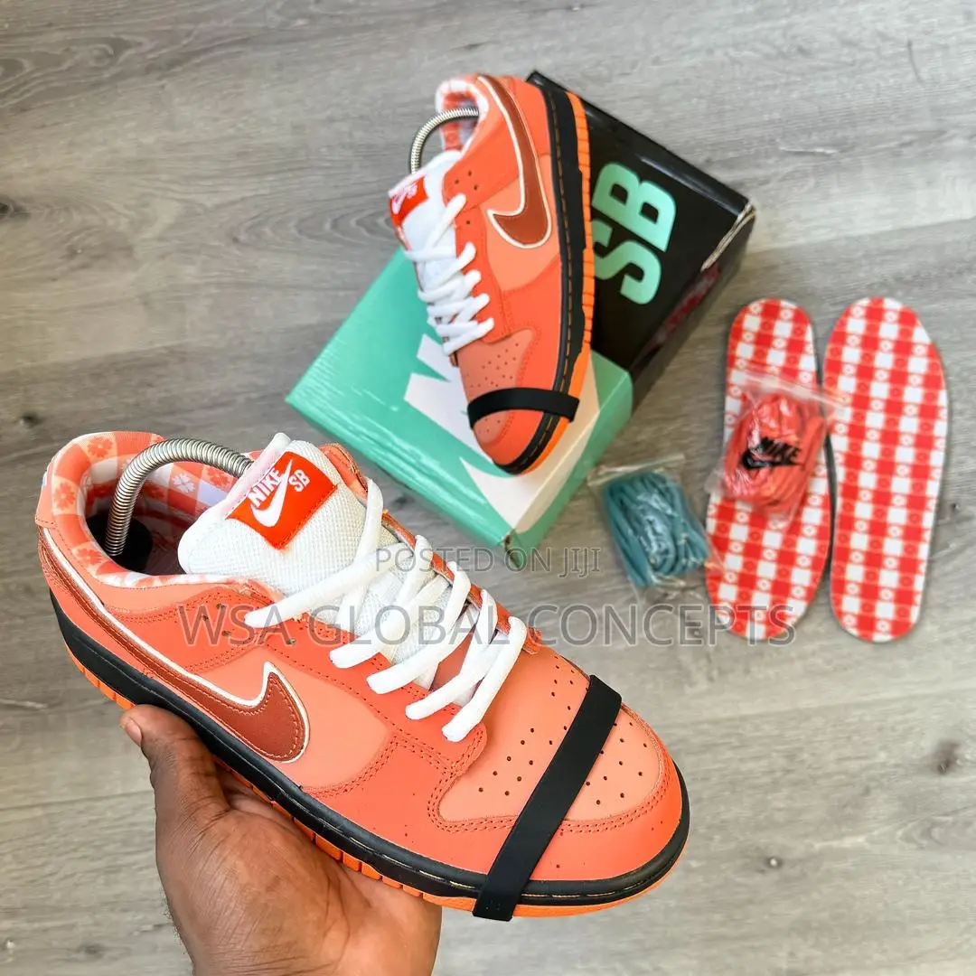 Concept X Nike Sb Dunk Low PRO Soberster Series