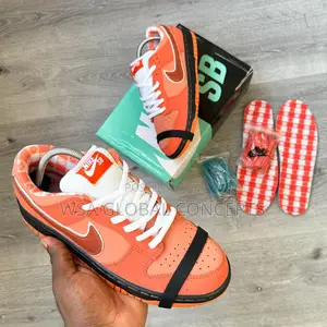 Concept X Nike Sb Dunk Low PRO Soberster Series