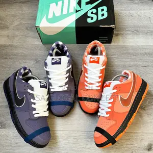 Concept X Nike Sb Dunk Low PRO Soberster Series