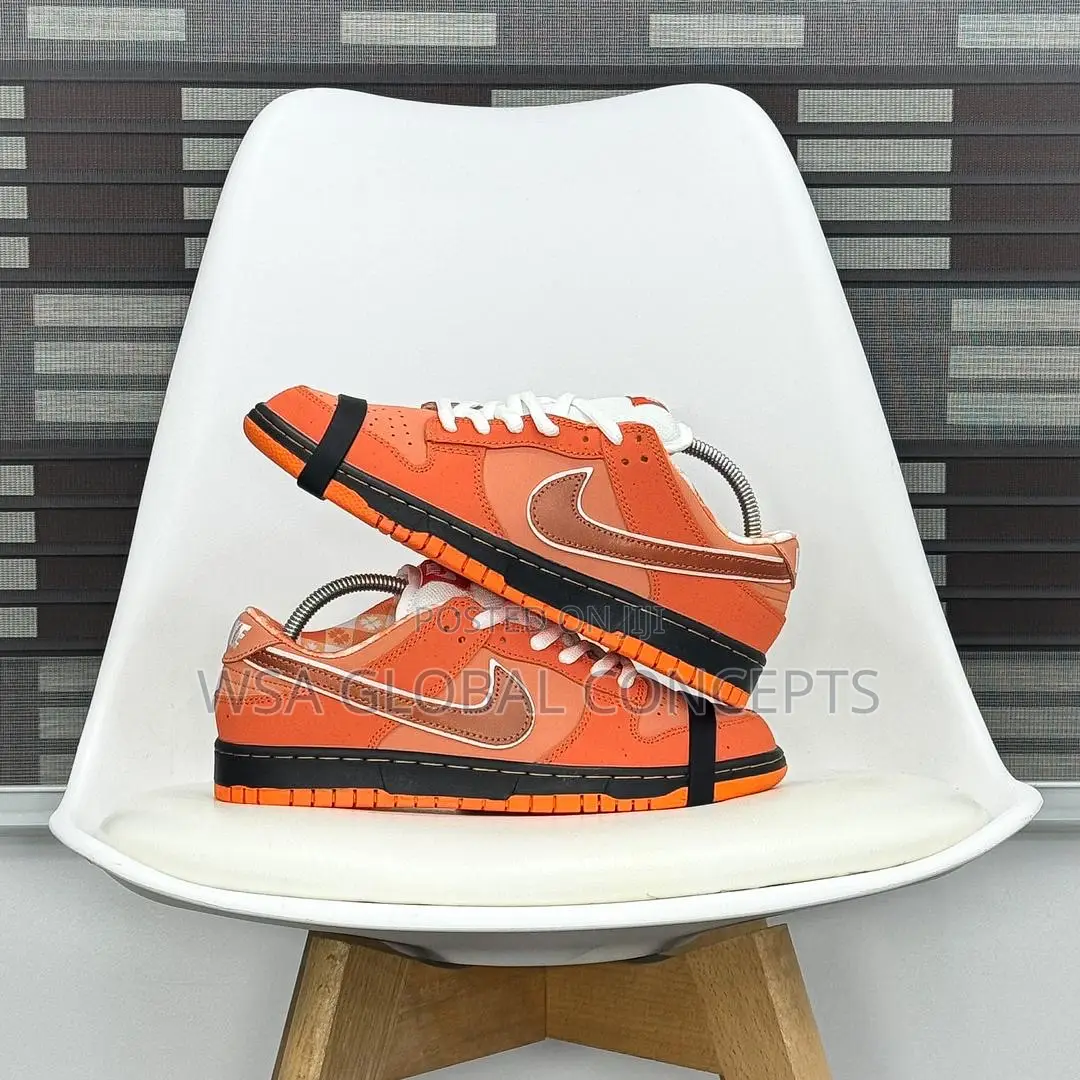 Concept X Nike Sb Dunk Low PRO Soberster Series