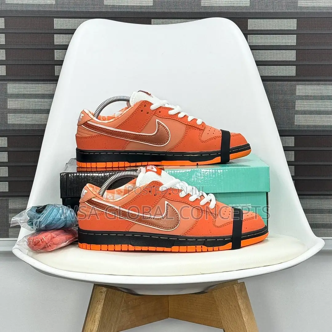 Concept X Nike Sb Dunk Low PRO Soberster Series