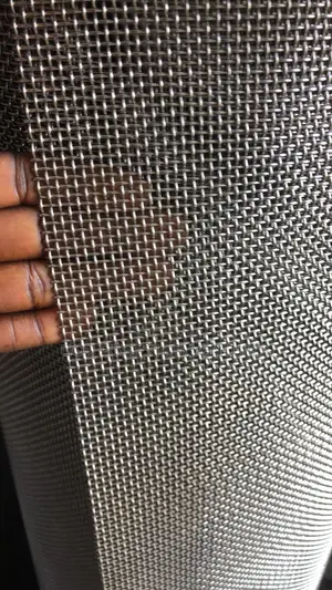 Stainless Mesh 10