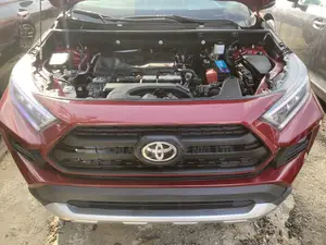 Toyota RAV4 Adventure AWD 2020 Red