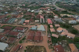 Drone Rentage + Pilot Service