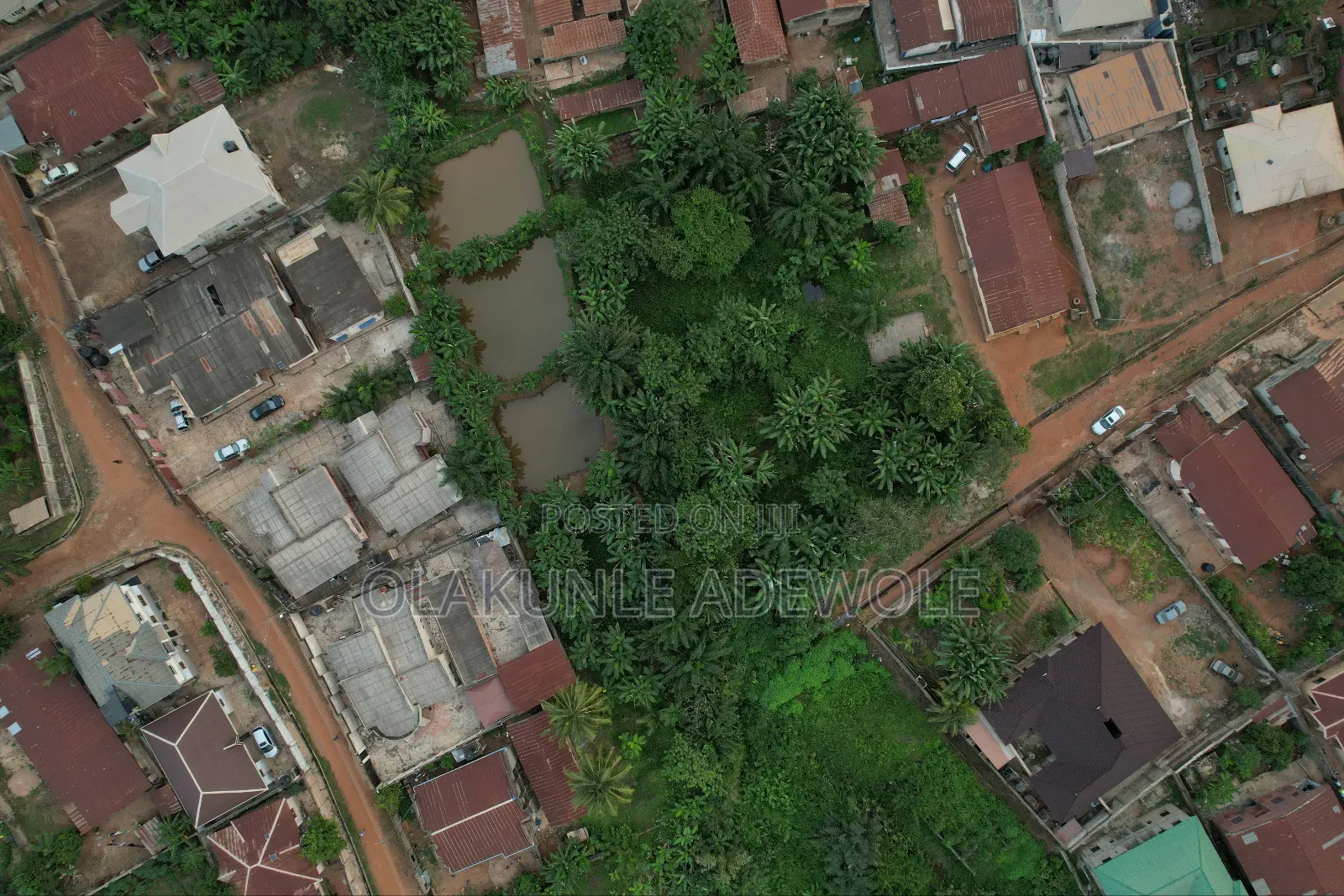 Drone Rentage + Pilot Service