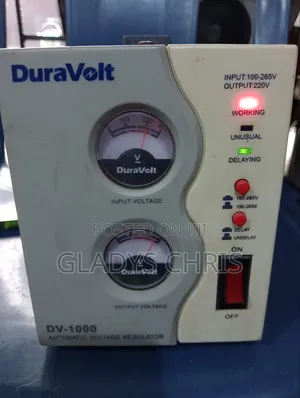 1000 Watts Duravolt Stablizer
