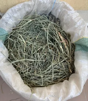Premium Lemon Grass Available in Bags and Paints