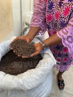 Premium Cloves /Kg