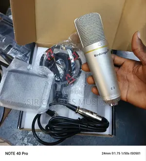 Original Birdsinger C-1 Condenser Studio Microphone