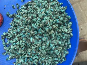 Periwinkle -Dekaimas Foods