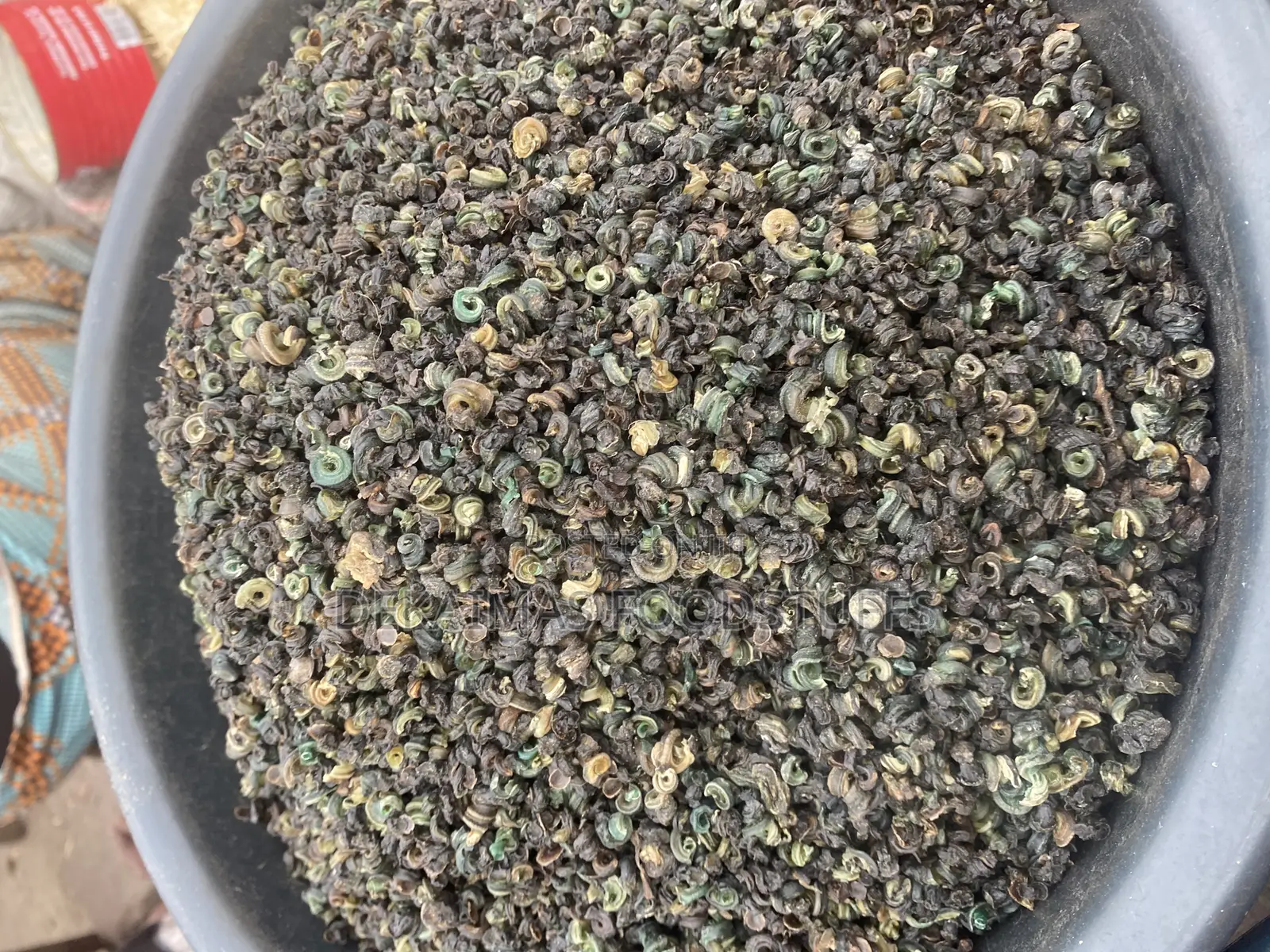 Neatly Dried Periwinkle