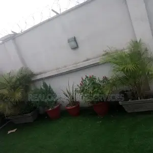 Stunning Live Potted Plants for Homes, School, Hotels Decor