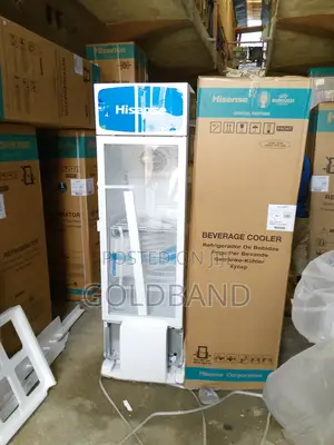 Strong Modern 222L "Fl30fc" Hisense Beverage Chiller