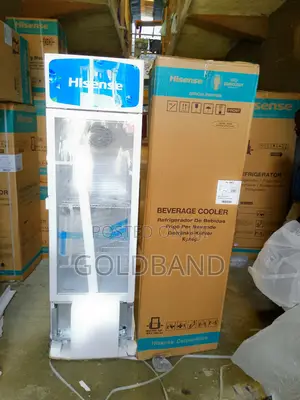 New Strong 222L "Fl30fc" Hisense Beverage Cooler