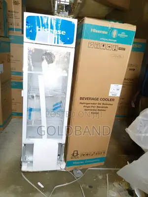 Best Effective 222L Fl30fc Hisense Beverage Cooler