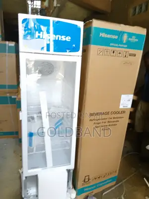 New Efficient "Fl30fc" 222L Hisense Beverage Cooler
