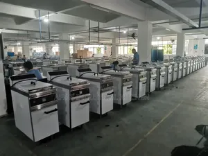 Deep Fryer (Standing )