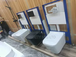 Wall Hung Wc