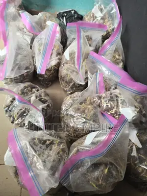 Improved Hybrid Treated Sprouted Nuts