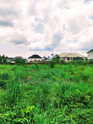 Photo - Massive 5913sqm Land in Osongama Estate, Uyo