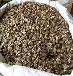 1 Kg of Moringa Seeds